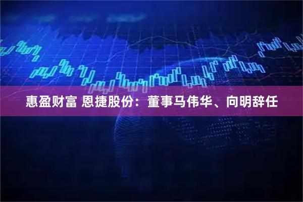 惠盈财富 恩捷股份：董事马伟华、向明辞任