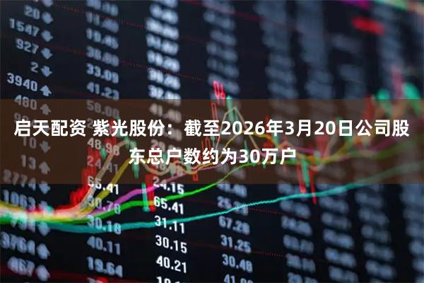 启天配资 紫光股份：截至2026年3月20日公司股东总户数约为30万户